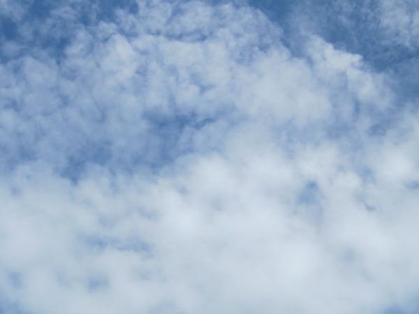 IMG 0852