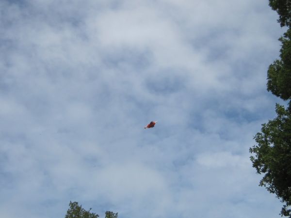 IMG 0858
